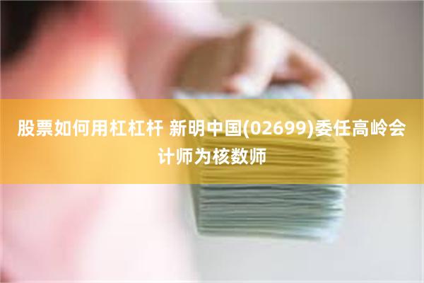 股票如何用杠杠杆 新明中国(02699)委任高岭会计师为核数师