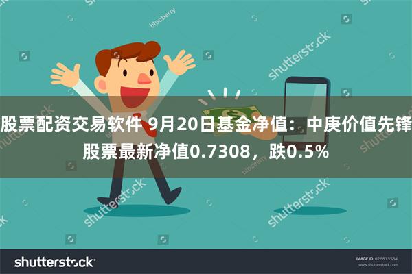 股票配资交易软件 9月20日基金净值：中庚价值先锋股票最新净值0.7308，跌0.5%