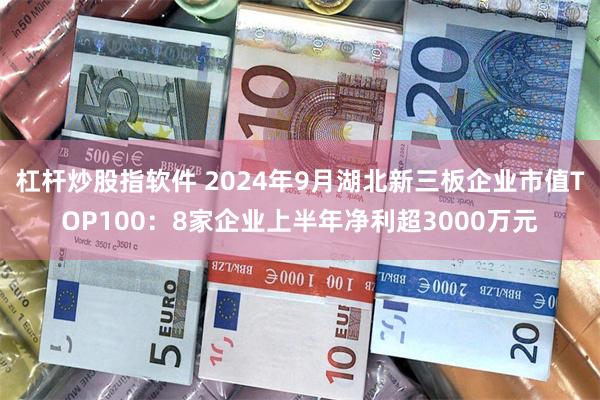 杠杆炒股指软件 2024年9月湖北新三板企业市值TOP100：8家企业上半年净利超3000万元