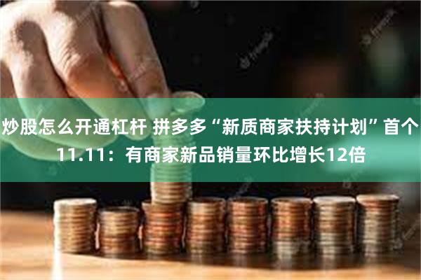 炒股怎么开通杠杆 拼多多“新质商家扶持计划”首个11.11：有商家新品销量环比增长12倍