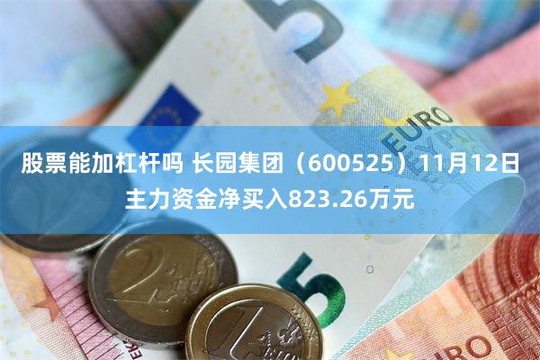 股票能加杠杆吗 长园集团（600525）11月12日主力资金净买入823.26万元