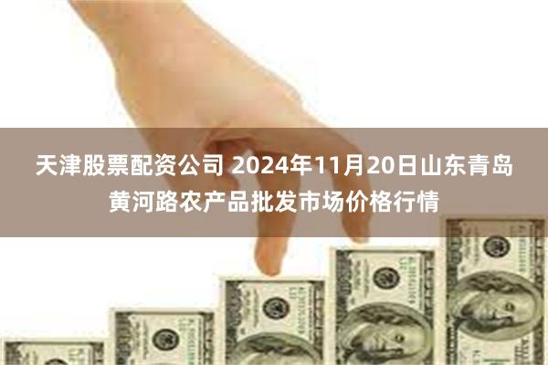 天津股票配资公司 2024年11月20日山东青岛黄河路农产品批发市场价格行情