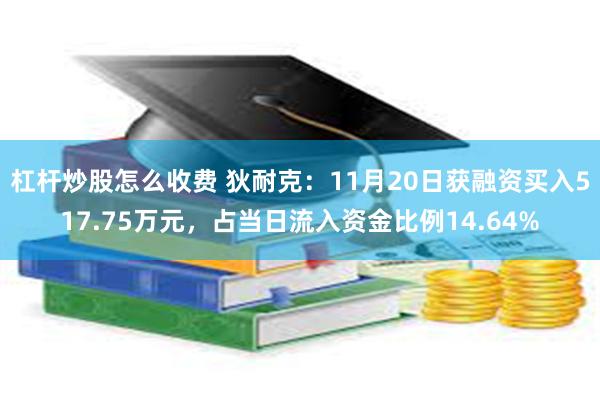 杠杆炒股怎么收费 狄耐克：11月20日获融资买入517.75万元，占当日流入资金比例14.64%