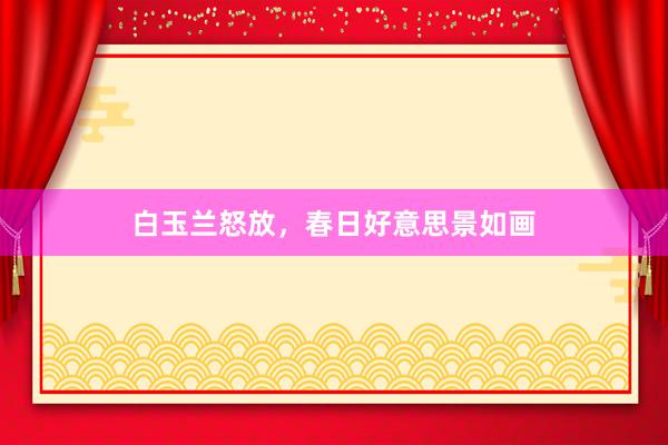 白玉兰怒放，春日好意思景如画