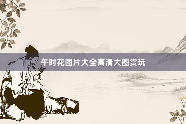 午时花图片大全高清大图赏玩
