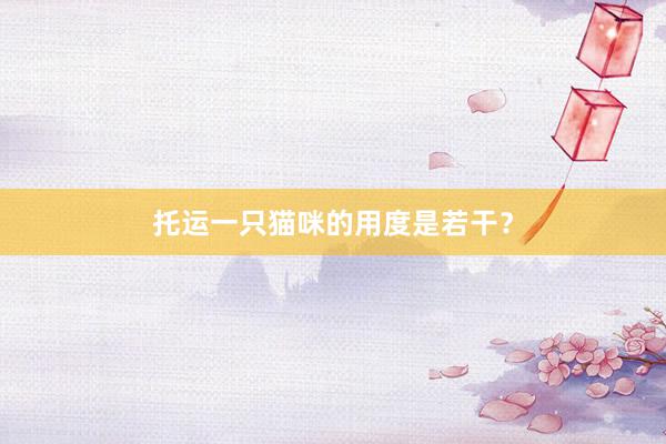 托运一只猫咪的用度是若干？