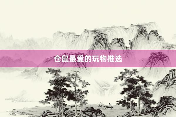 仓鼠最爱的玩物推选