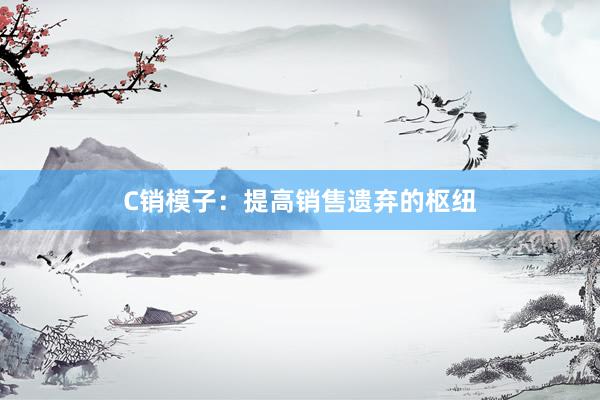 C销模子：提高销售遗弃的枢纽